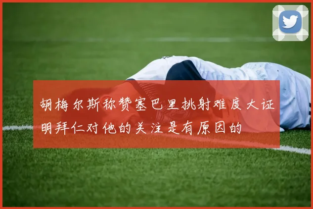 胡梅尔斯称赞塞巴里挑射难度大证明拜仁对他的关注是有原因的