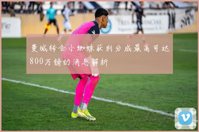 曼城转会小蜘蛛获利分成最高可达800万镑的消息解析